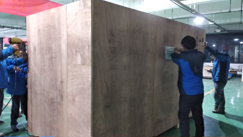 WenYao semi di arachidi Pionia carota sementi di anguria Color Sorting Machine Seed Screening Machine Color Selector