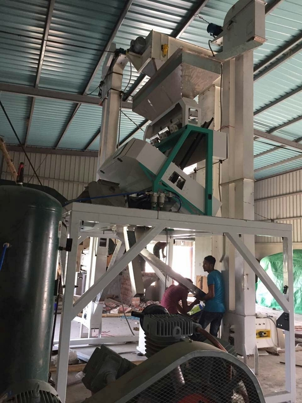 WenYao Grain Sorting Processing Equipment Pea Color Sorting machine Peach Gum color sorter machine ccd color sorter