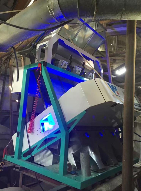 WenYao Grain Sorting Processing Equipment Pea Color Sorting machine Peach Gum color sorter machine ccd color sorter