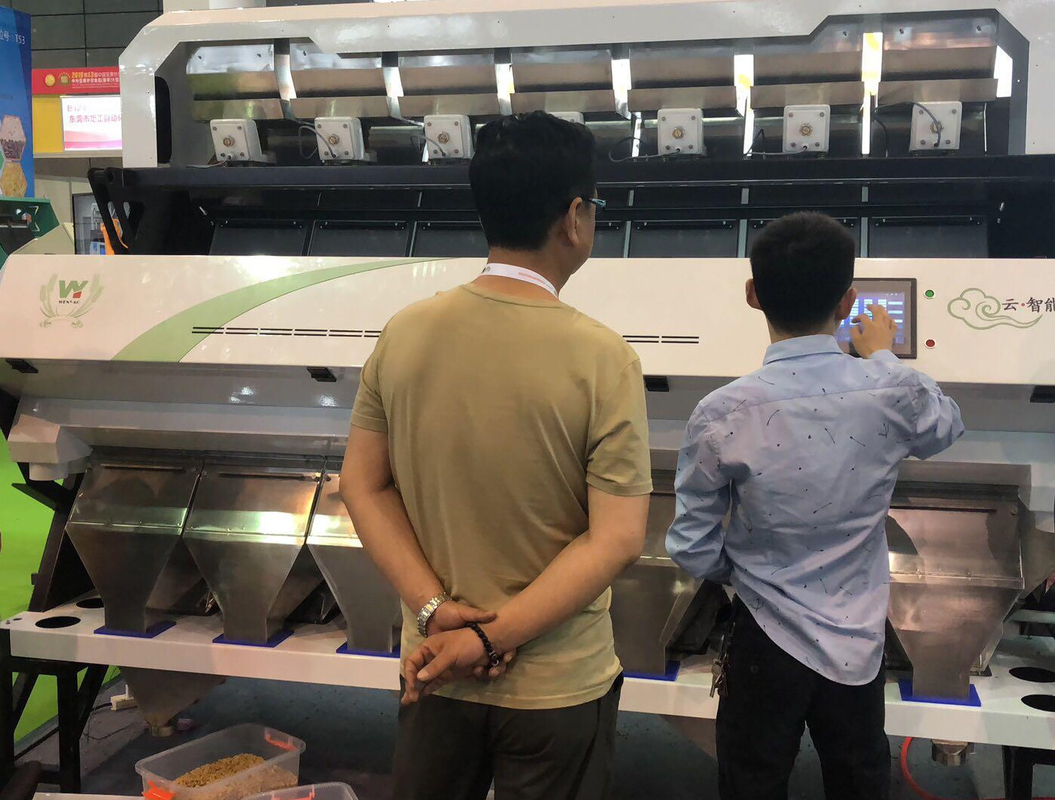 WenYao Macchina per la selezione dei colori di grande capacità Caramelle di cardamomo Cimino Peppe Semi Color Sorting Machine