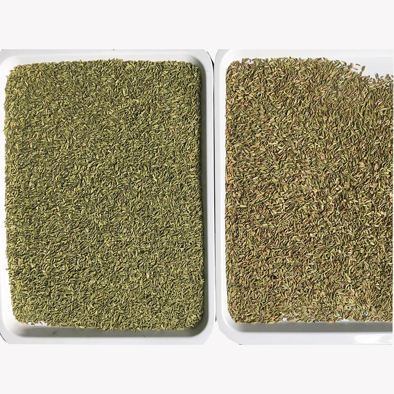 WenYao Macchina per la selezione dei colori di grande capacità Caramelle di cardamomo Cimino Peppe Semi Color Sorting Machine