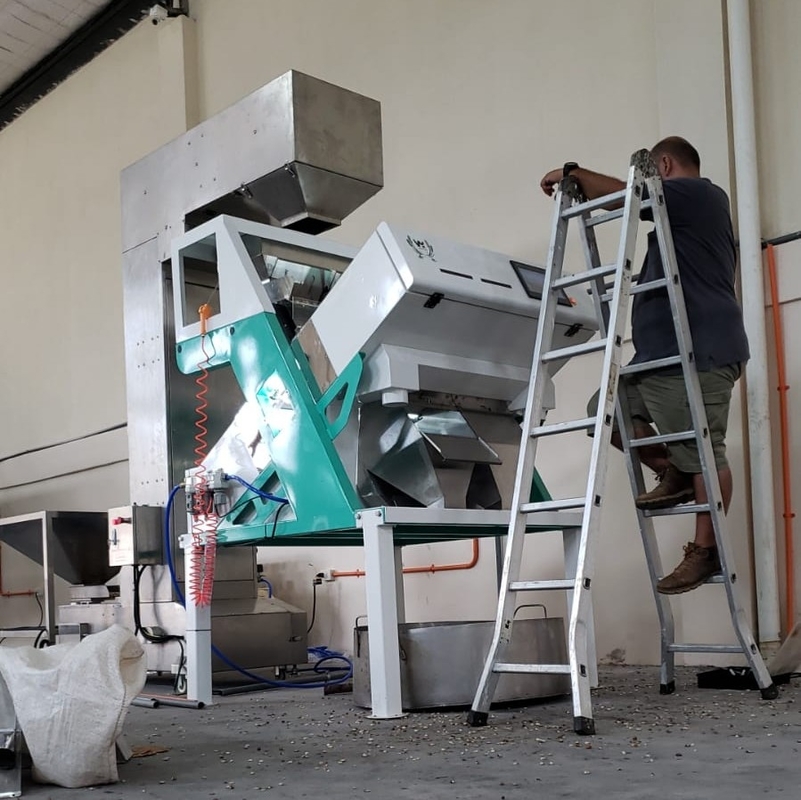 Alta precisione di classificazione Lenticchia Color Sorting Fagioli Color Sorting Machine