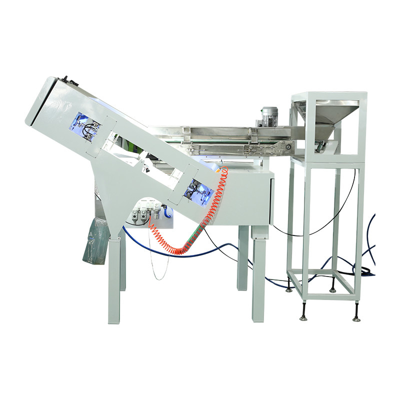 Wenyao Factory Coffee Cherry Color Sorting Machine Sortatore automatico di colori