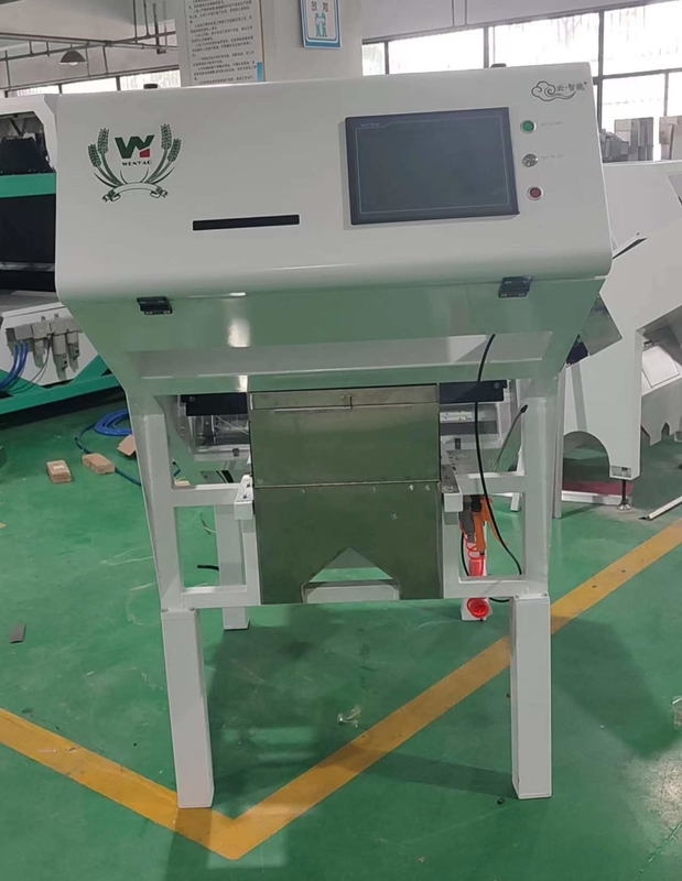 Wenyao Factory Coffee Cherry Color Sorting Machine Sortatore automatico di colori