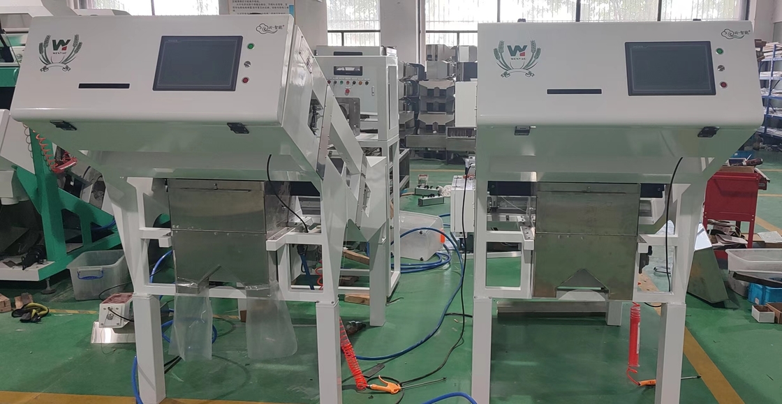 Wenyao Factory Coffee Cherry Color Sorting Machine Sortatore automatico di colori
