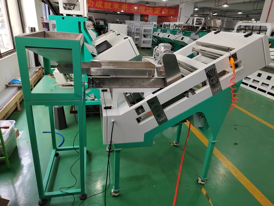 Wenyao Factory Coffee Cherry Color Sorting Machine Sortatore automatico di colori