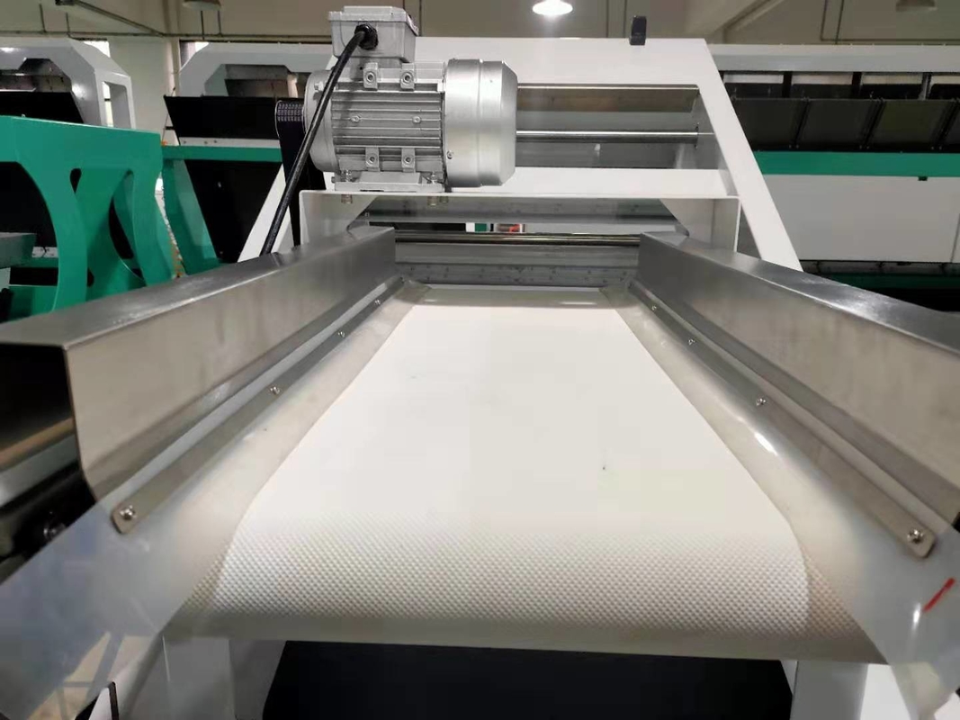Wenyao Factory Coffee Cherry Color Sorting Machine Sortatore automatico di colori