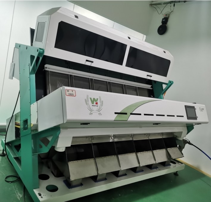Grano saraceno Millet Quinoa Semi Color Sorting Semi di lino Cereali grossolani Color Sorting Machine