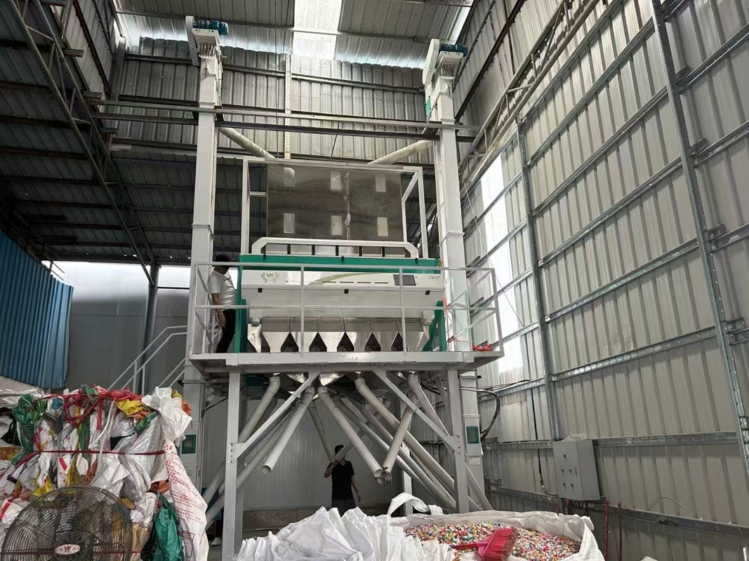 Grano saraceno Millet Quinoa Semi Color Sorting Semi di lino Cereali grossolani Color Sorting Machine