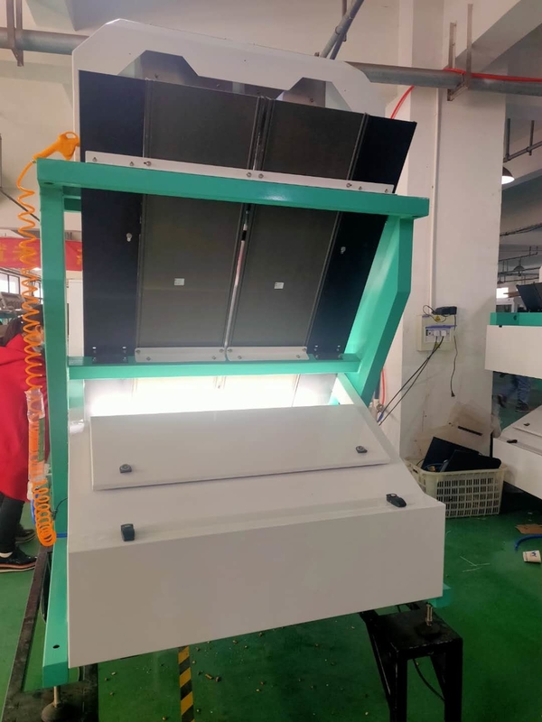 Wenyao Professional Fagioli Color Sorting Cardamomo Color Sorting Machine