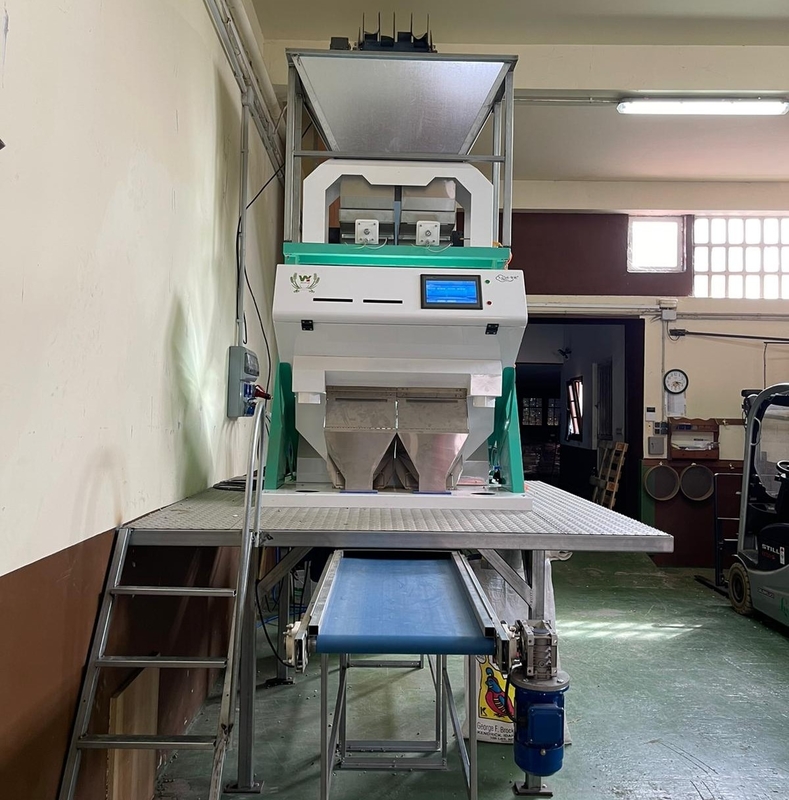 Wenyao Professional Fagioli Color Sorting Cardamomo Color Sorting Machine