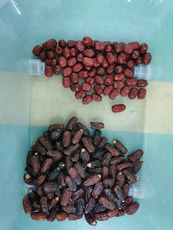 Red Jujube Color Sorting Machine Color Sorting Automatic per Noci e Fagioli