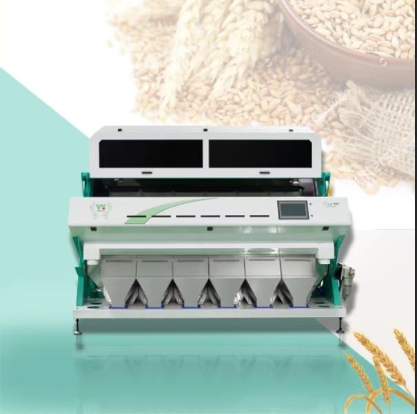 Grano saraceno Orzo Grano Lenticchie Sortitore di colori ottici Caffè Pulizia Color Sortitore Macchina Grano Grano Sortitore di colori