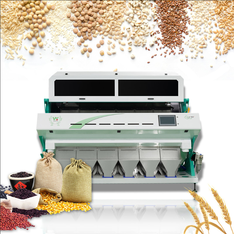 Sortitore di colori ottici di grano di grano di caffè Pulizia del colore Sortitore macchina di classificazione del colore Sortitore separatore per grano di orzo mais