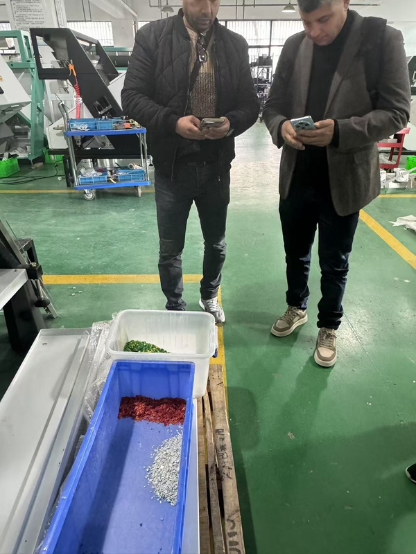 Wenyao Color Sorting Machinery PET PVC Flakes Plastic Color Sorting per differenza di colore