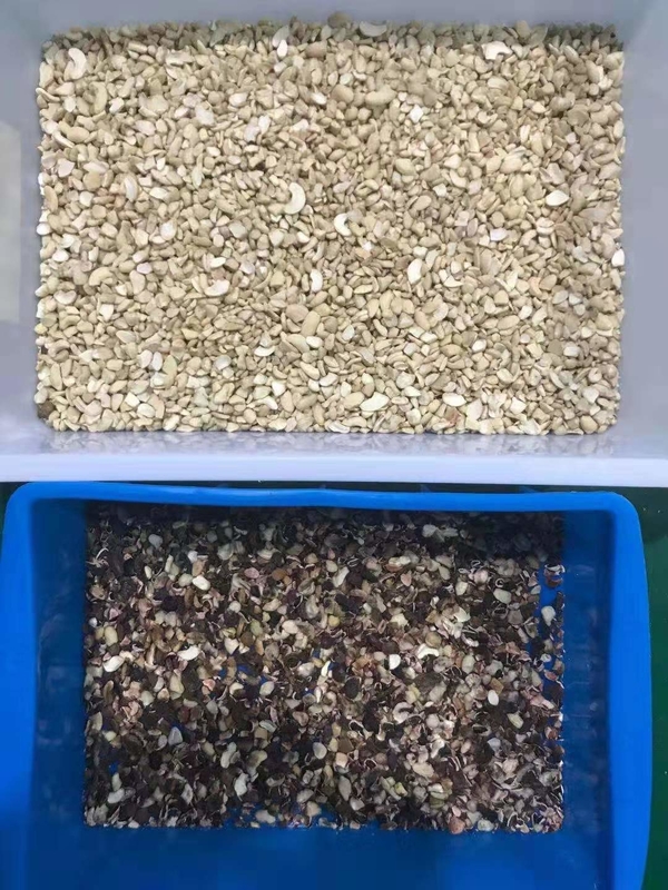 Sortitore di colori multifunzione con telecomando Wifi Intelligente Cashew Nuts Color Sorting Machine