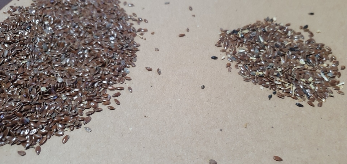 Produttore di Mini Sorter di Colori di Semi di Girasole in Cina