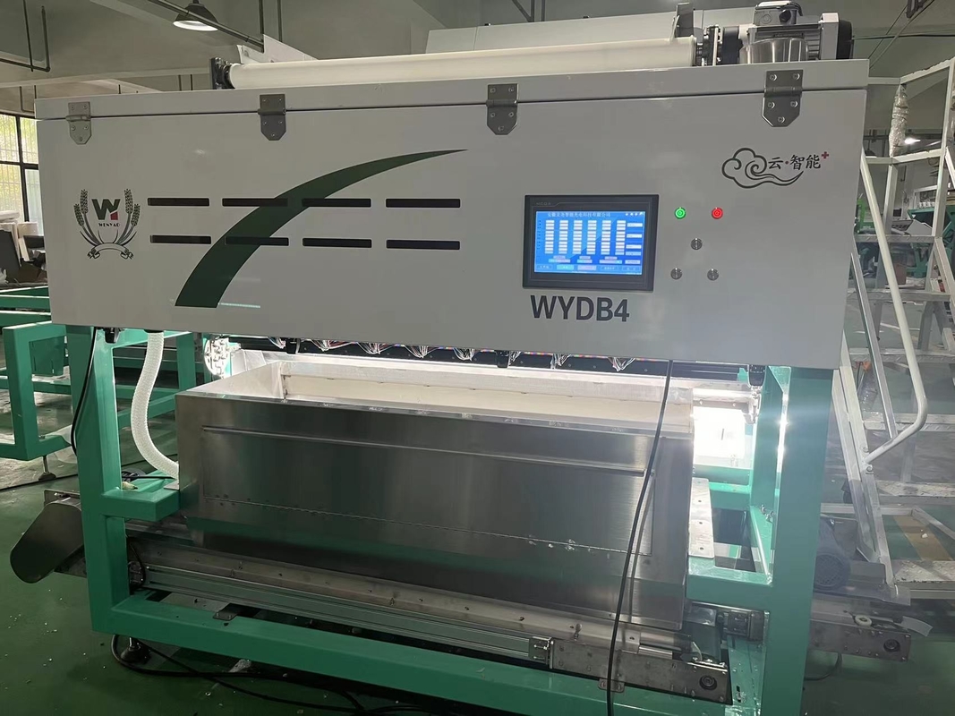 Wenyao Strawberry Color Sorting Intelligent Belt Color Sorting Machine per frutta surgelata Caffè ciliegio mirtillo fragola