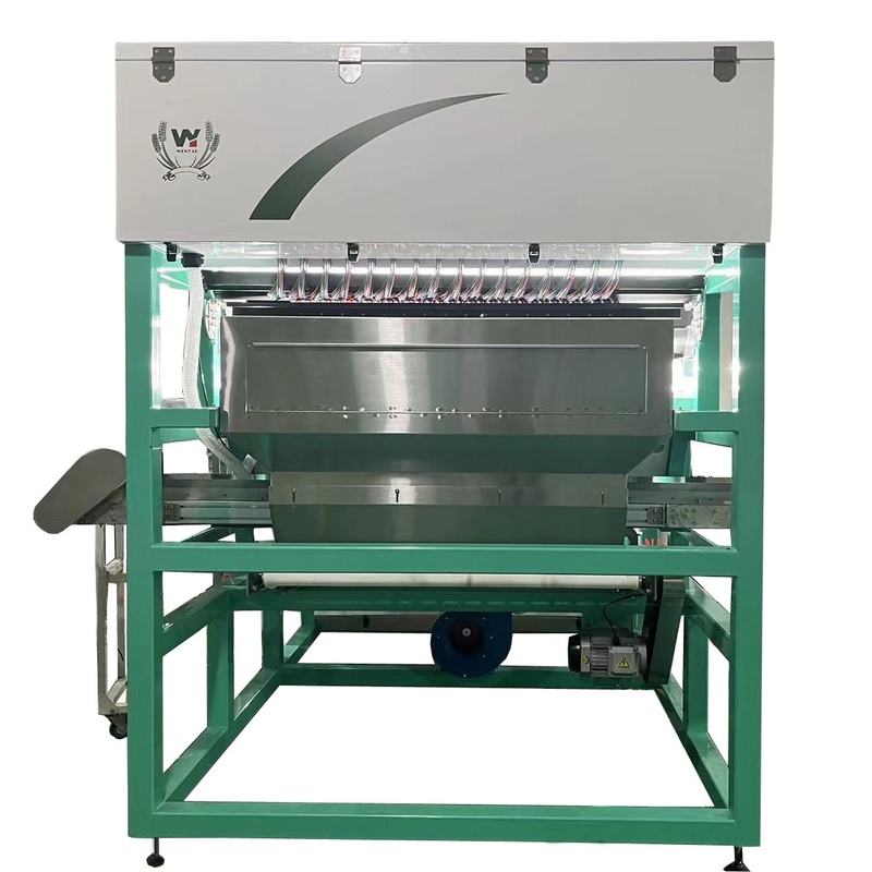 Wenyao Strawberry Color Sorting Intelligent Belt Color Sorting Machine per frutta surgelata Caffè ciliegio mirtillo fragola