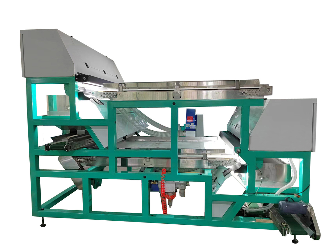 Wenyao Strawberry Color Sorting Intelligent Belt Color Sorting Machine per frutta surgelata Caffè ciliegio mirtillo fragola