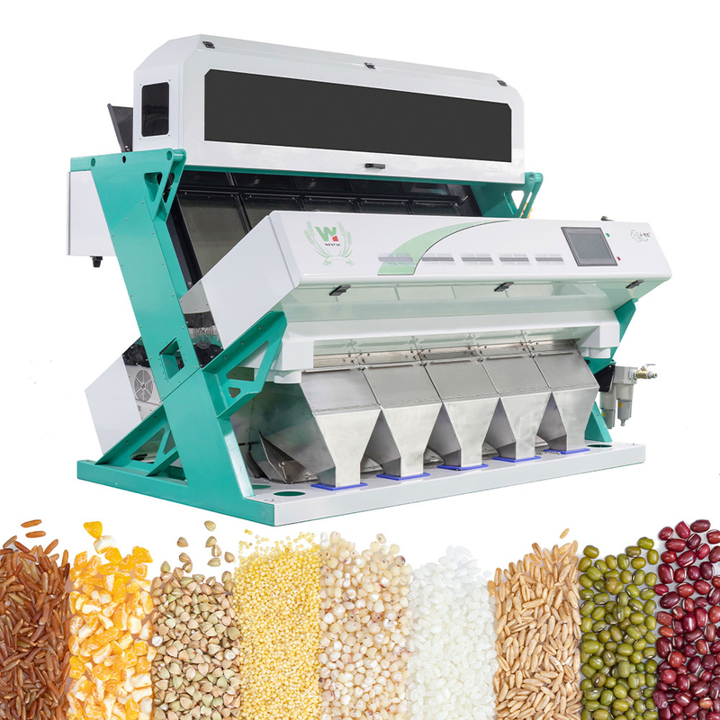 Wenyao Lenticchie verdi Color Sorting Processing Machine CCD Grain Sorting