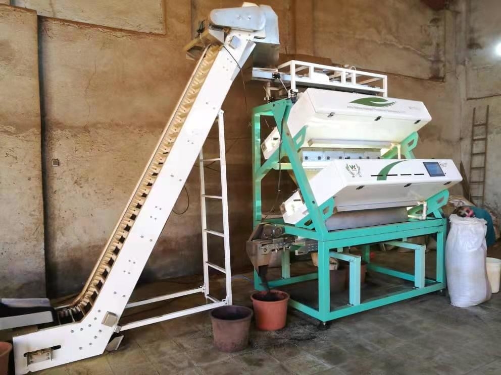 Macchina di selezione ottica del tè per la lavorazione del tè