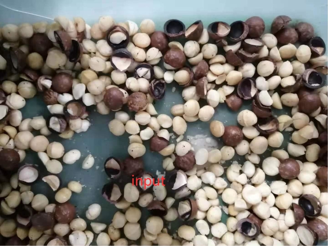 Macadamia di grande capacità Noccioline macchina di selezione aperta Pistacchi Noccioline conchiglia macchina mandorle triturazione macchina Color Sorting