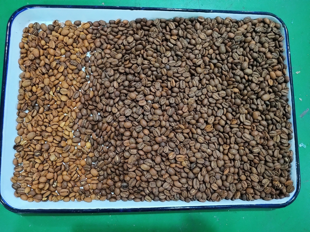 Wenyao Alta capacità 192 canali Pulso ottico Sortitore di colori Lupini di campo Piselli Fabacei Sortitore di fagioli per legumi