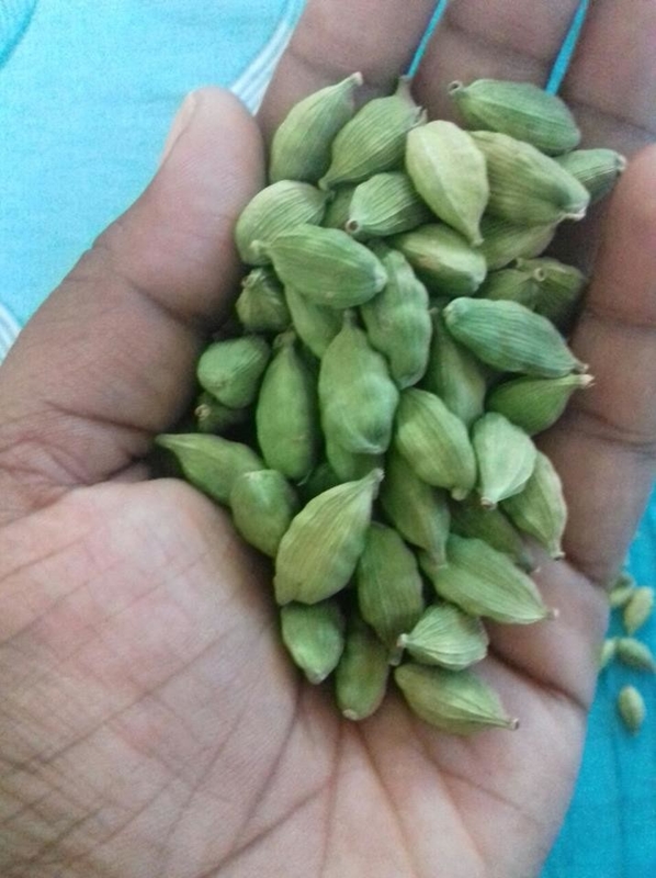 Wenyao 3 Chute Intelligent Corn Bean Cardamom Color Sorting Machine