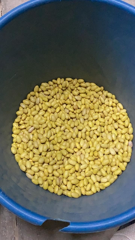 Wenyao Cina Fabbrica vendita diretta 4 Chute Soja Bean Color Sorting Machine