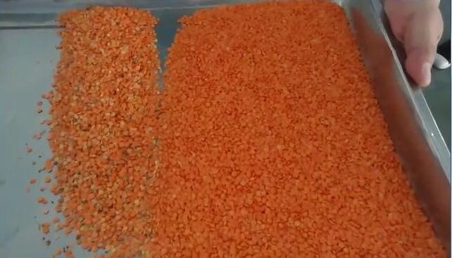 Wenyao Macchine per la lavorazione delle colture agricole Sortitore ottico di colori per lenticchie Separatore di colori