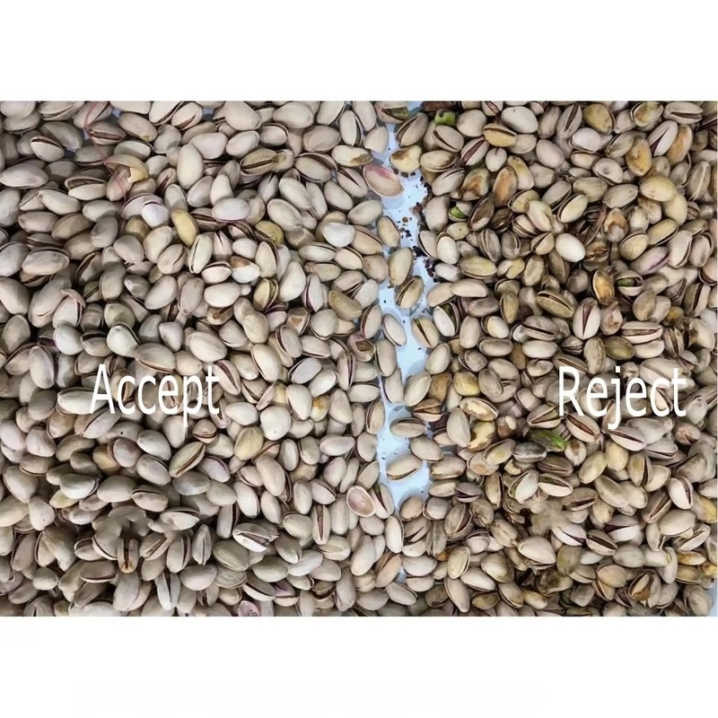 AI Learning Intelligent Belt Style Peanut Hazelnut Pistachio Nuts Color Sorting Machine