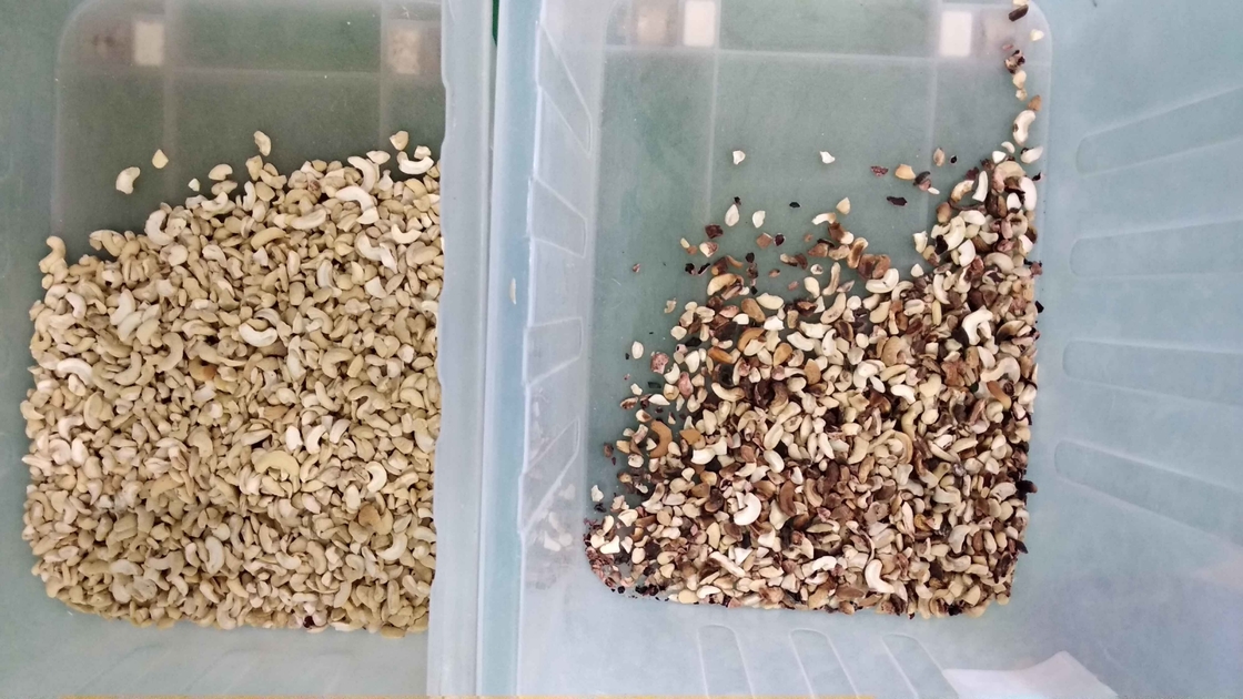 Intelligente macchina per la selezione del colore delle noci di cashew con sensore Toshiba CCD e fotocamera RGB