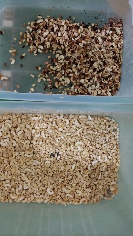 Wenyao Alta velocità di selezione Buon prezzo Intelligente Cashew Nuts Almond Color Sorting Machine