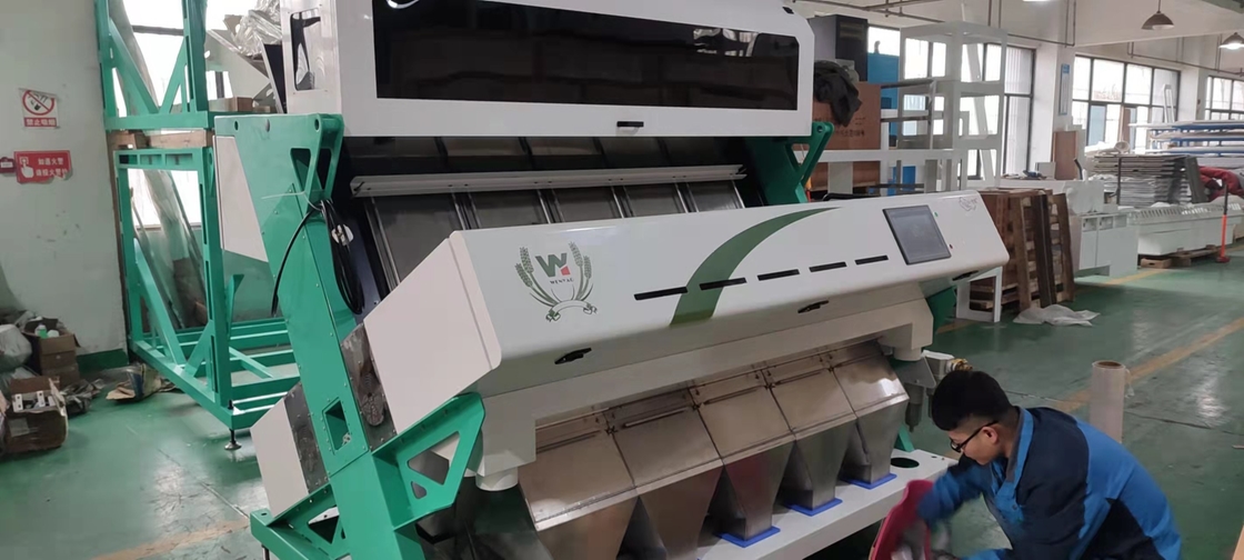 Macchina di classificazione dei colori in plastica con telecamera CCD ottica