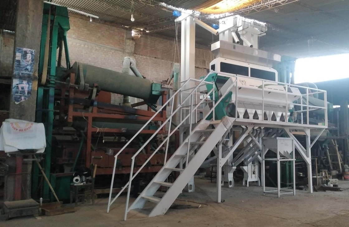 Wenyao Nuovo certificato ottico CE Semi di zucca Semi di anguria Color Sorting Machine