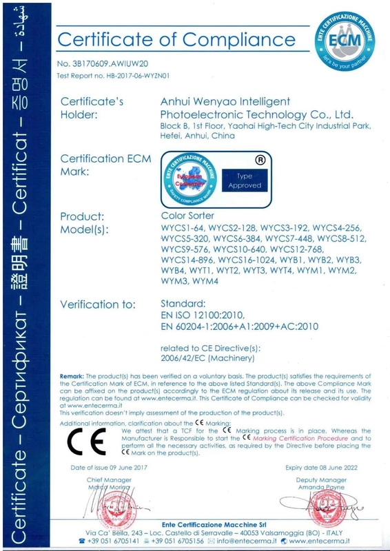 Alta capacità Wenyao doppio strato cintura secco e bagnato minerale di pietra minerale Color Sorting Machine con ejettor SMC 16 fori ugelli