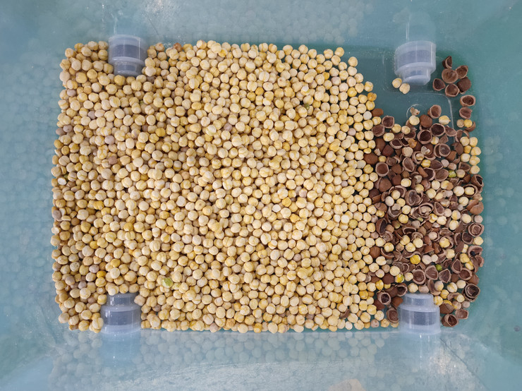 Wenyao Intelligent Chute Style Nut Shell and Kernel Separating Machine Nut Color Sorter Machine 64 canali