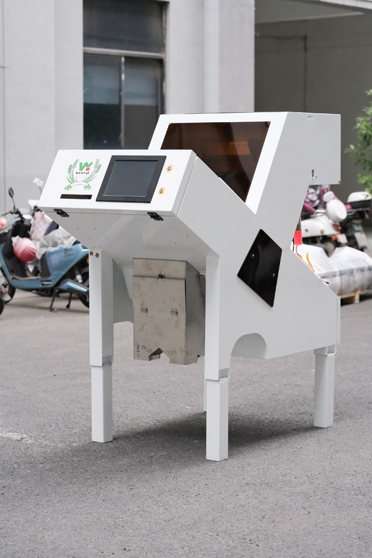 Wenyao WYCS1-64 1 chute facile da usare Sortitore ottico per verdure idratate Flakes di cipolla secca Patate Flakes Sorting Machine
