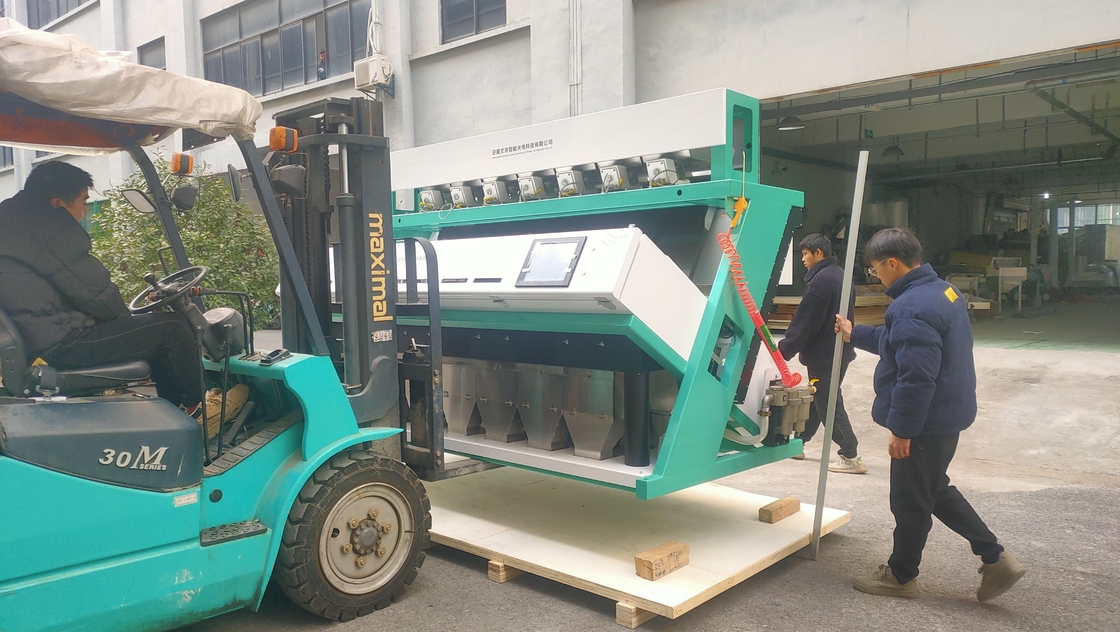 Macchina selezionatrice ottica automatica ad alta tecnologia a 7 canali per semi di rosa canina e colza