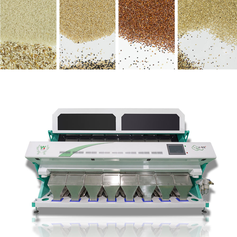 Wenyao 2025 Hot Selling Semi Sorting Full Automatic Chia Seeds Sementi di lino Color Sorting Machine