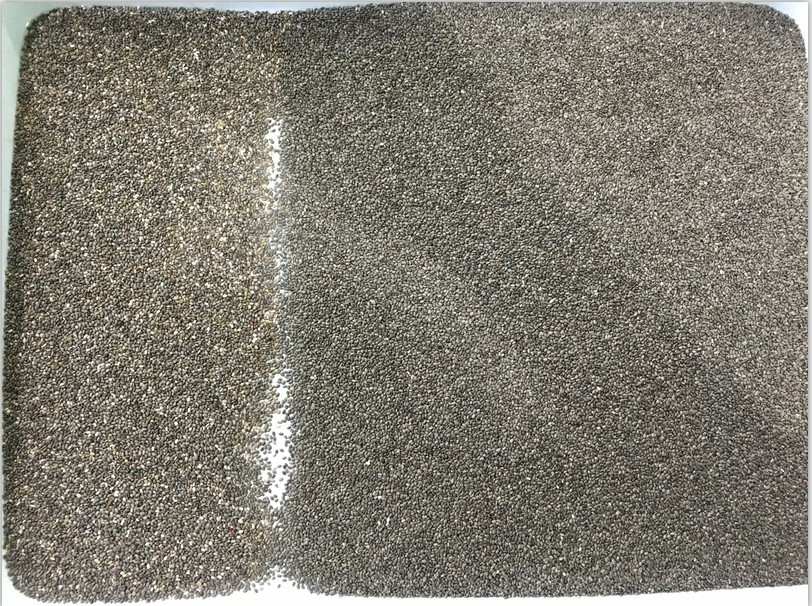 Wenyao 2025 Hot Selling Semi Sorting Full Automatic Chia Seeds Sementi di lino Color Sorting Machine