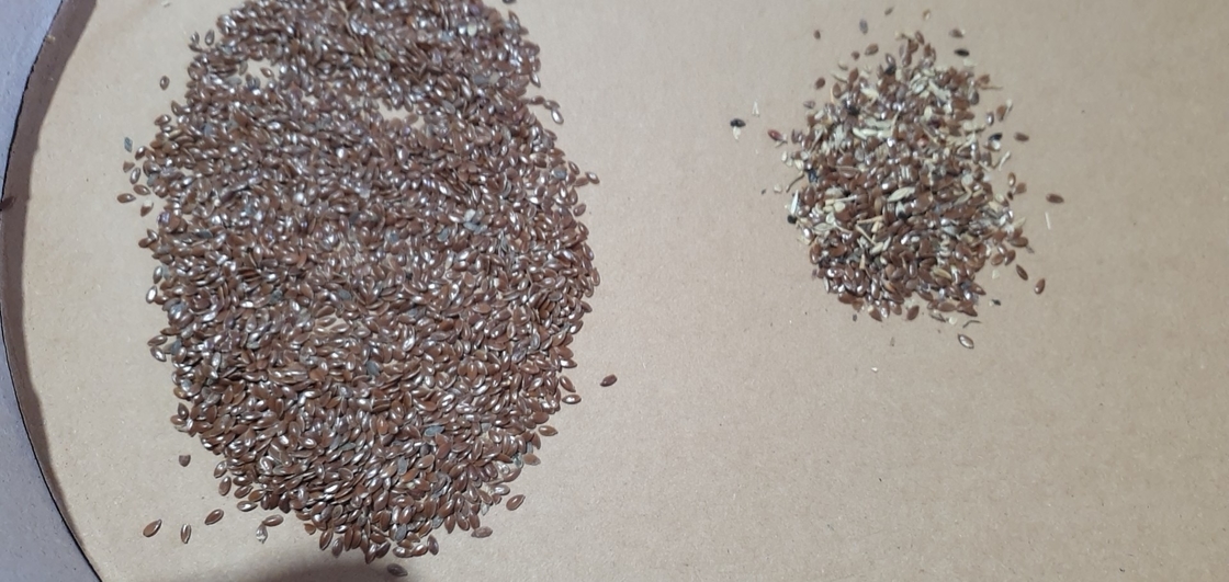 Wenyao 2025 Hot Selling Semi Sorting Full Automatic Chia Seeds Sementi di lino Color Sorting Machine