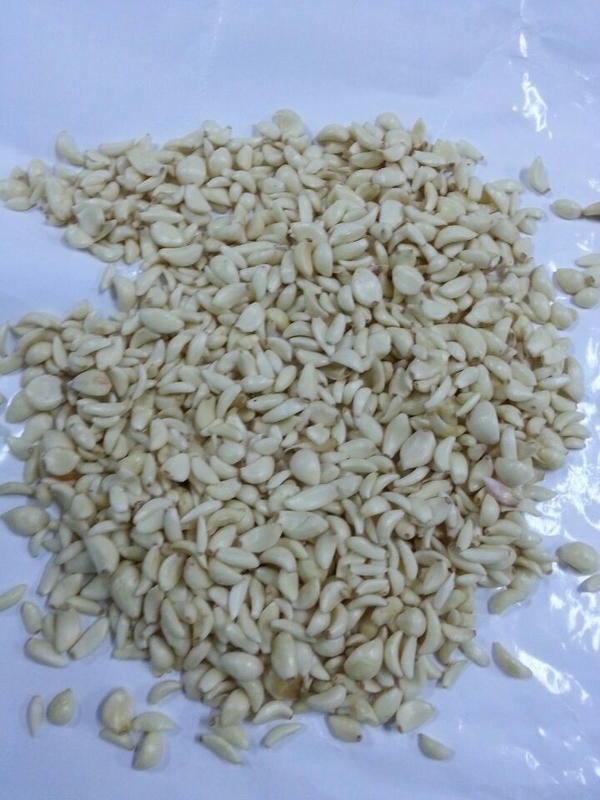 Macchina di selezione di chiodi d'aglio Sortitore di colore di aglio per la lavorazione alimentare