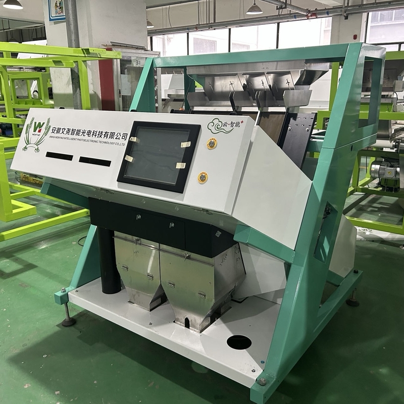 Wenyao Cina Prezzo di fabbrica completamente automatico Fagioli rossi Reni Fagioli Color Sorting Machine