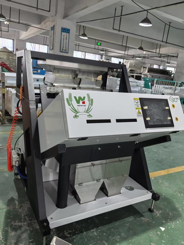 Wenyao CE Certificato Chestnut Color Sorting Machine Pistachio Color Sorting Machine Con Buona Qualità