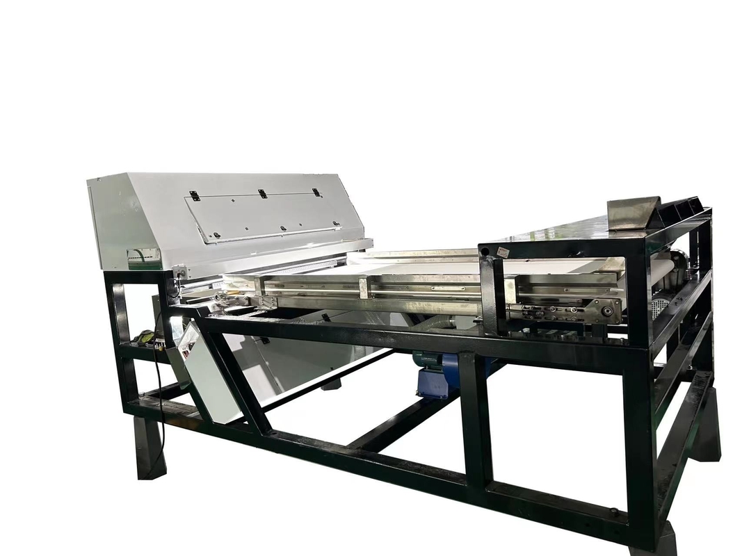 Processo automatico di classificazione del colore del noce di cashew WENYAO Color Sorter Cashew Nut Color Sorter Machine