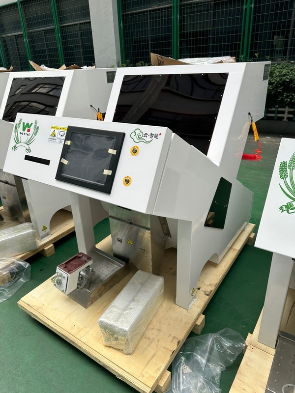 Wenyao Noce Color Sorting Machine 1 Chute Noce Corn Optical Sorting Machine per albicocche secche