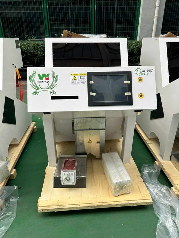 WENYAO One Chute Peanut Color Sorting Machine Sorting Optical Machine per albicocche secche