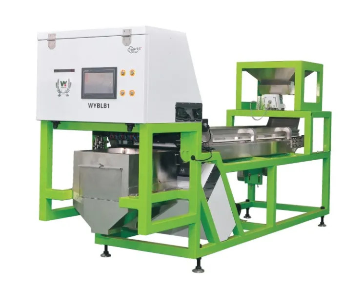 Professionale Peanut Color Sorting Peeling Peanuts CCD Color Sorting Machine Made in China